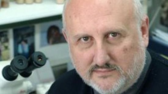 La imagen tiene un atributo ALT vacío; su nombre de archivo es 282334_ferrus.jpg