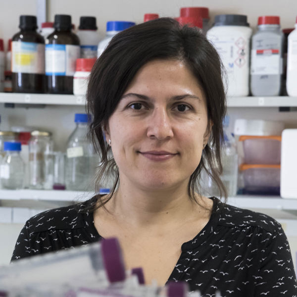 La imagen tiene un atributo ALT vacío; su nombre de archivo es mariajose-sanchezbarrena.jpg